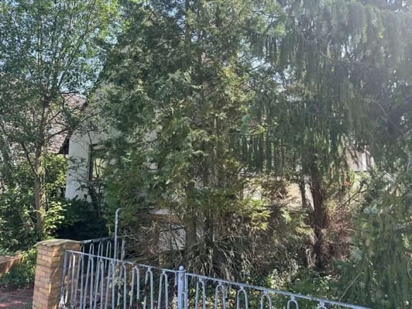 Immobilie in Burgdorf - Sanierungsbedürftiges und vollunterkellertes Ein bis Zweifamilienhaus in Burgdorf - Bild 2