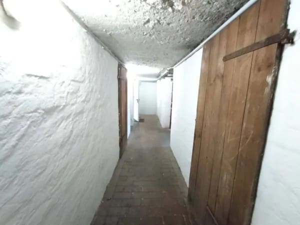 Immobilie in Böhlen - Vermietete 4-Zimmer-Wohnung mit Stellplatz, Garage und attraktivem Garten - Bild 3