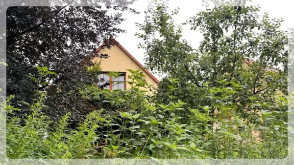 Immobilie in Rheinsberg - Immobilie der Saison: Leben Am Fluss-Wohnoase pur - Bild 4