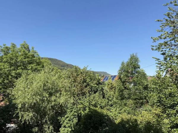 Immobilie in Neidlingen - 2 Zimmer-Wohnung im Grünen - Bild 0
