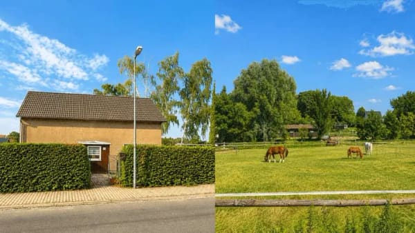 Immobilie in Borsdorf - Hier kaufen Sie weniger ein Haus als eine großartige Gelegenheit. - Bild 0