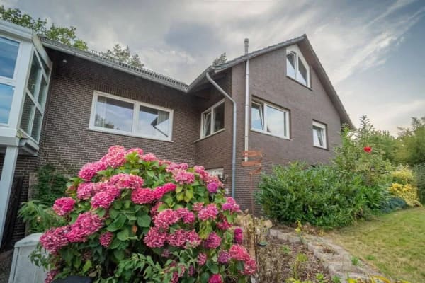 Immobilie in Damme - Renovierungsbedürftige Doppelhaushälfte in schöner Waldrandlage - Bild 1