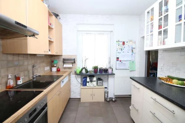 Immobilie in Reinsdorf - Klein, fein, mein - modernisiertes Wohnglück mit Garten und Terrasse - Bild 2