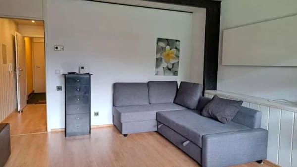 Immobilie in Baiersbronn - Zwei Wohnungen. Ein Paketpreis. Baiersbronn-Tonbach. - Bild 2