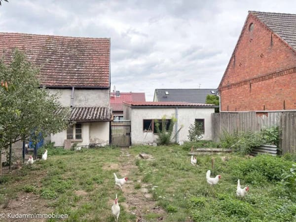 Immobilie in Wittstock/Dosse - Bauernhaus mit Nebengebäuden und großem Grundstück in Wittstock/Dosse OT Dossow - Bild 4