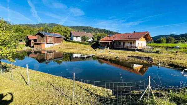 Immobilie in Grafling - gemischt genutztes Haus mit großem Grundstück - Bild 1