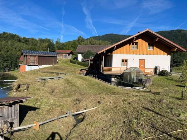 Immobilie in Grafling - gemischt genutztes Haus mit großem Grundstück - Bild 2