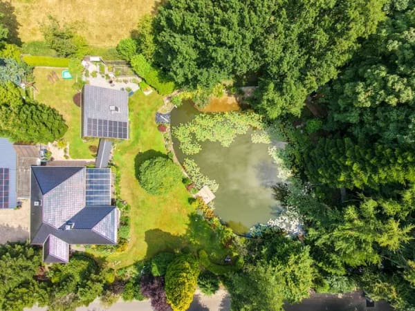 Immobilie in Meyn - Parkähnliches Anwesen mit modernisiertem Bungalow, Gästehaus und Schwimmteich - Bild 1