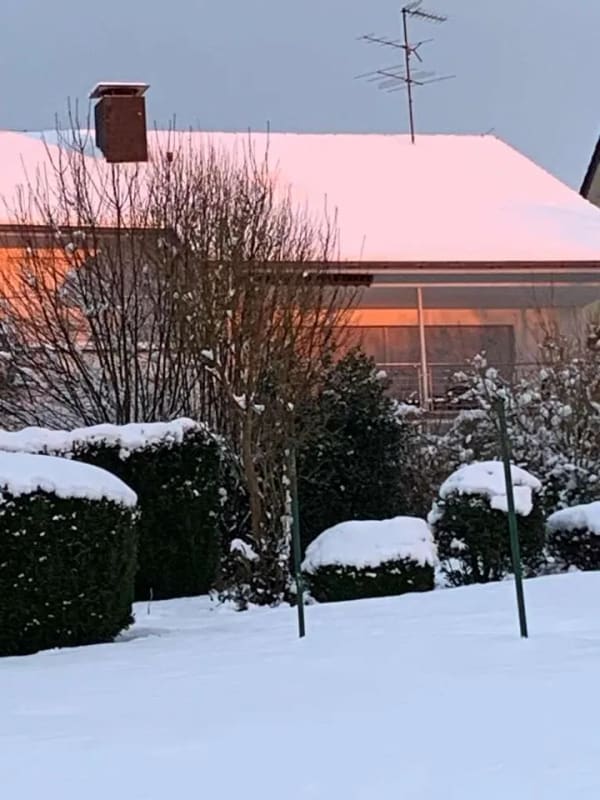 Immobilie in Altenbeken - Alltagstaugliches Mehrfamilienhaus mit viel Platz in Altenbeken - Bild 2