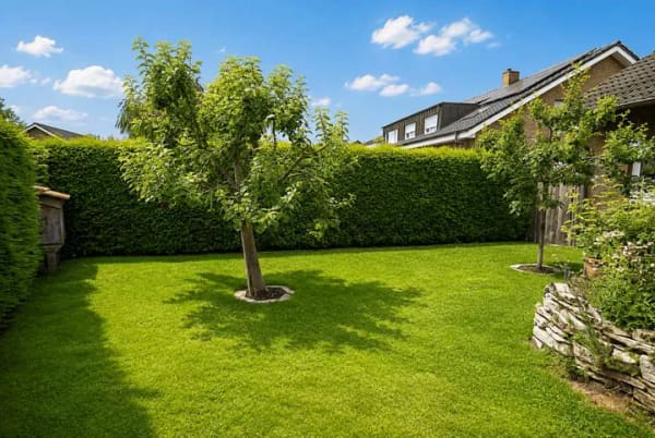 Immobilie in Havixbeck - Zweifamilienhaus in ruhiger Sackgassenlage- zwei separate Wohnungen in Havixbeck - Bild 2