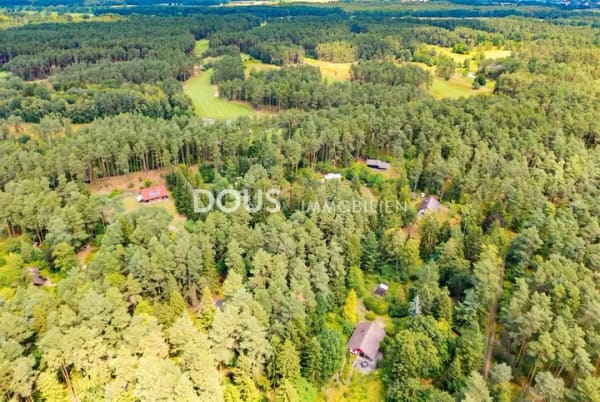 Immobilie in Bardowick - Waldgrundstück in Golfplatznähe - Bild 2