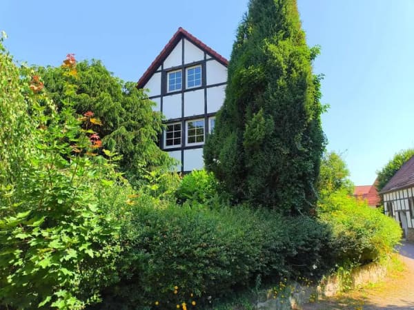 Immobilie in Aerzen - Apartment mit Dachterrasse sucht Single - Erstbezug nach Renovierung - Bild 1
