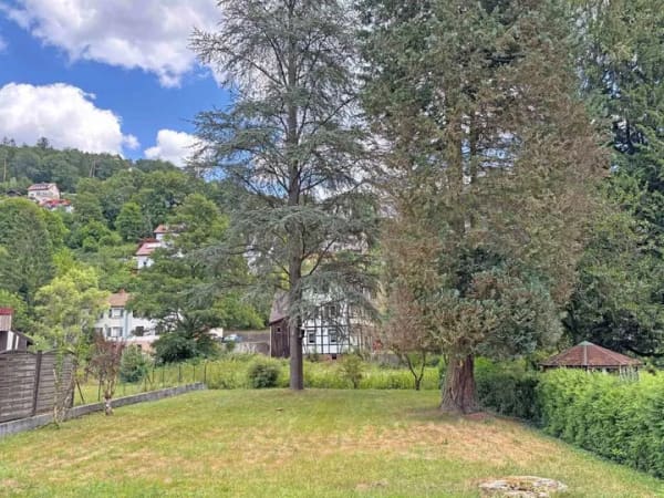 Immobilie in Schönau - Kapitalanlage mit Zukunft – Gepflegtes Dreifamilienhaus in guter Wohnlage von Schönau - Bild 3