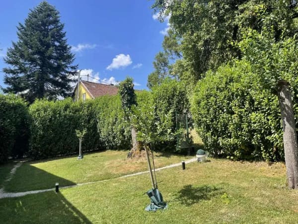 Immobilie in Kopp - Haus in Alleinlage mit großem Grundstück und 2 Wohnungen - Bild 4