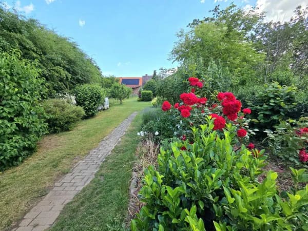 Immobilie in Otzberg - 2 Häuser mit großem Garten in bester Feldrandlage zu verkaufen - Bild 4