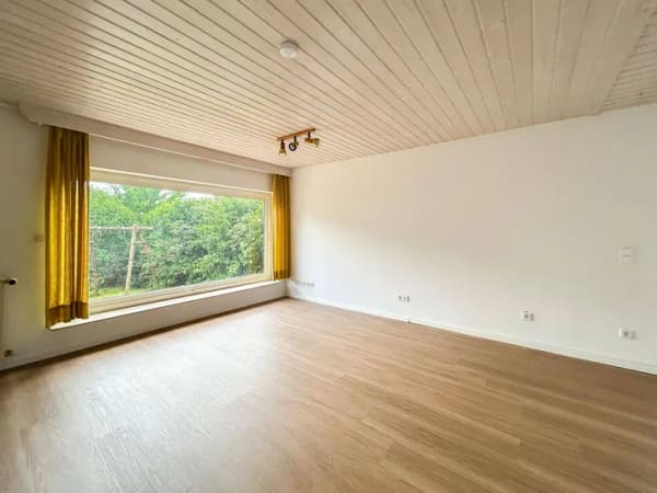 Immobilie in Brensbach - Vielseitiges Immobilien-Ensemble mit MFH, Bungalow und XXL-Halle in Brensbach! - Bild 3
