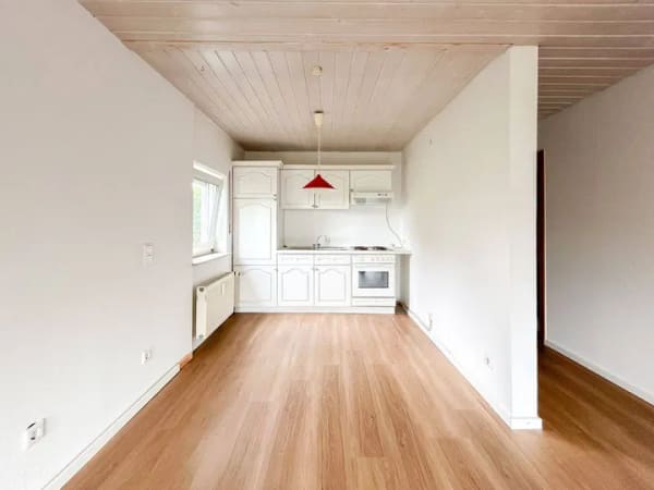 Immobilie in Brensbach - Vielseitiges Immobilien-Ensemble mit MFH, Bungalow und XXL-Halle in Brensbach! - Bild 4