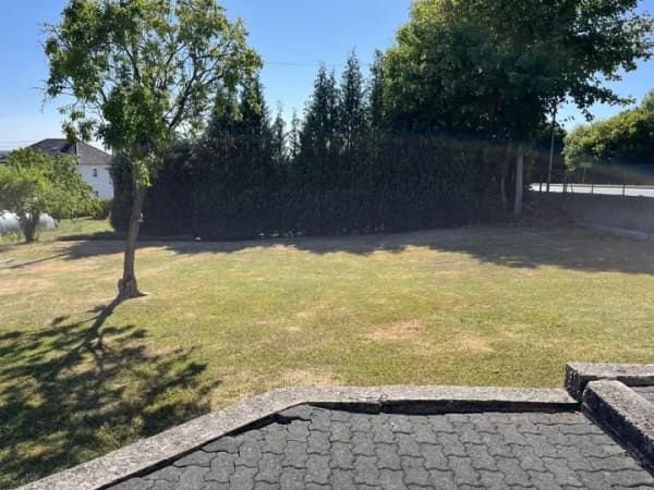 Immobilie in Mammelzen - Einfamilienhaus freistehend in Mammelzen - Bild 4