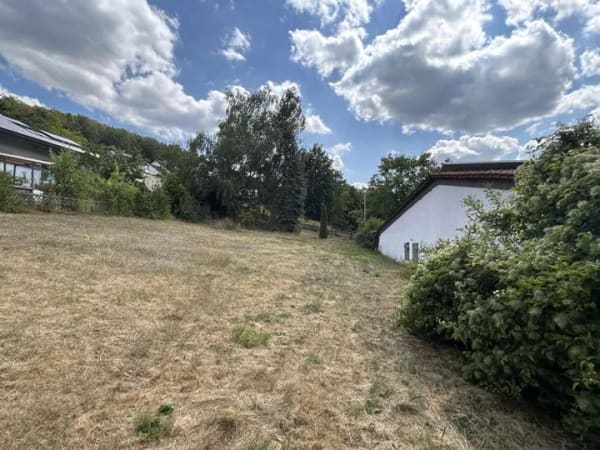Immobilie in Mömlingen - Herrlich großes Grundstück mit sanierungsbedürftigem Einfamilienhaus - Bild 4