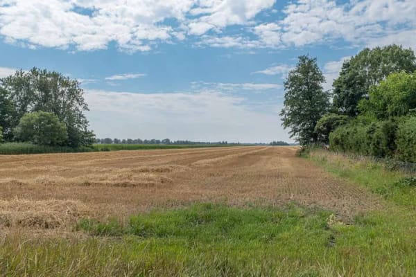 Immobilie in Drochtersen - Einfamilienhaus in zweiter Reihe mit Weitblick! - Bild 4