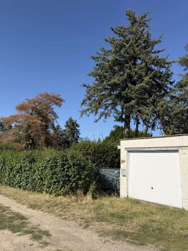 Immobilie in Taucha - Wochenendgrundstück mit Haus auf ca. 970 m² in Taucha-Plösitz - Bild 0