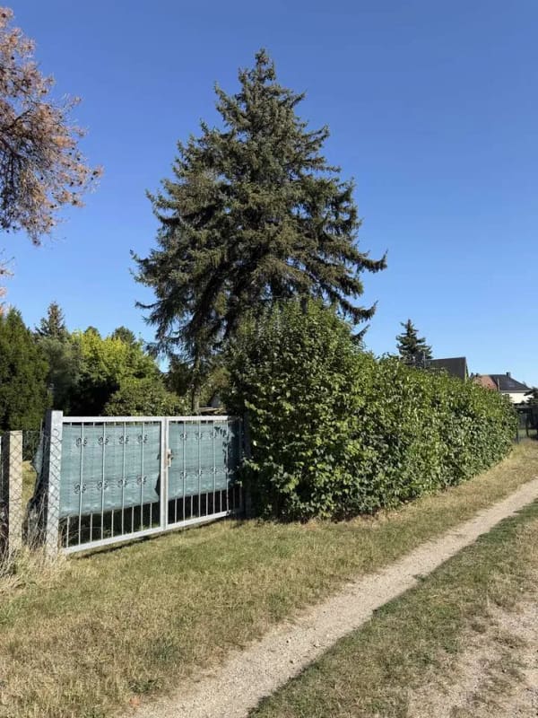 Immobilie in Taucha - Wochenendgrundstück mit Haus auf ca. 970 m² in Taucha-Plösitz - Bild 1