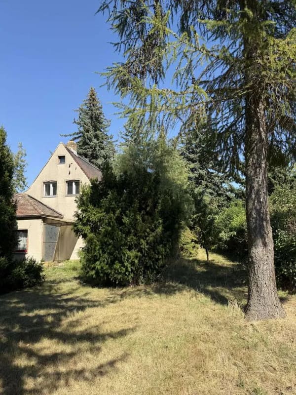 Immobilie in Taucha - Wochenendgrundstück mit Haus auf ca. 970 m² in Taucha-Plösitz - Bild 2