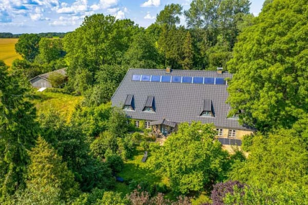 Immobilie in Stolk - Idyllischer Resthof mit 3 WE, weiterem Ausbaupotenzial, Scheune und über 12.000 m² Grdstk.! - Bild 0