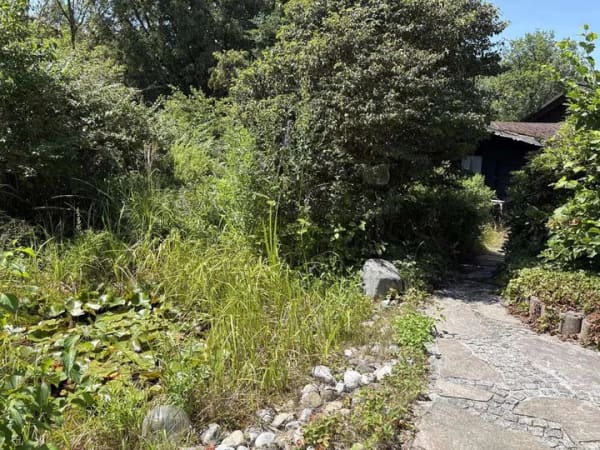 Immobilie in Naila - Einfamilienhaus mit Einliegerwohnung in Naila - Bild 4
