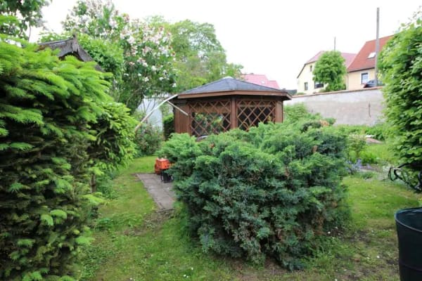Immobilie in Sülzetal - Viel Platz und viel Grundstück - Bild 4