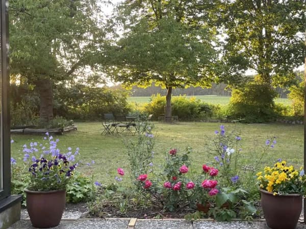 Immobilie in Bad Bodenteich - Gepflegter Bungalow auf außergewöhnlichem Grundstück mit freiem Blick über die Felder zum Wald - Bild 4