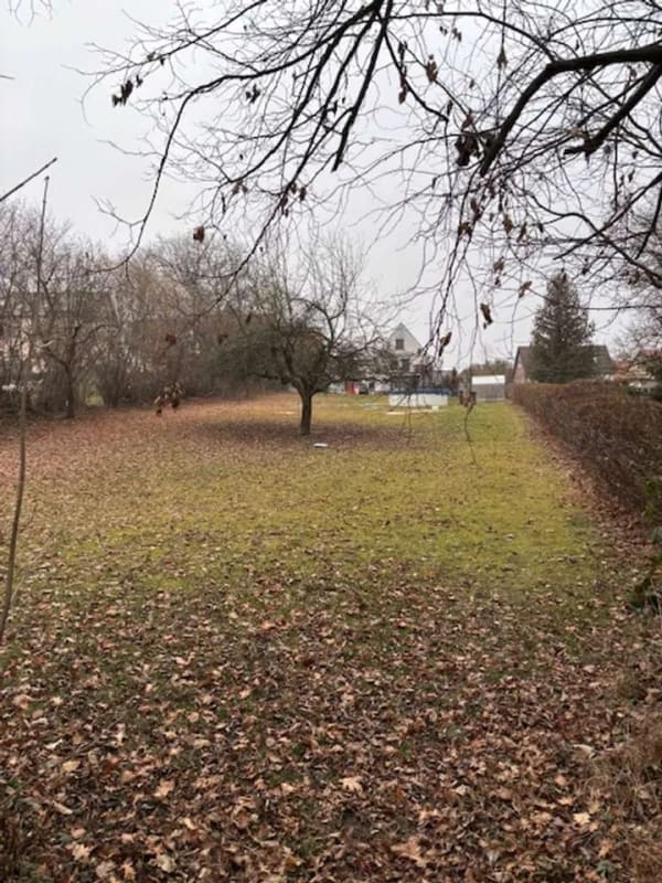 Immobilie in Lunzenau - Altes Haus auf großen Grundstück  ruhige Lage - Bild 1