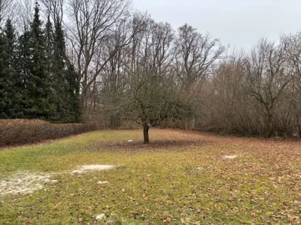 Immobilie in Lunzenau - Altes Haus auf großen Grundstück  ruhige Lage - Bild 4