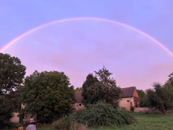Immobilie in Mertendorf - Historischer Hof mit 4.500 m² Natur – ein Ort für Menschen mit Ideen - Bild 0