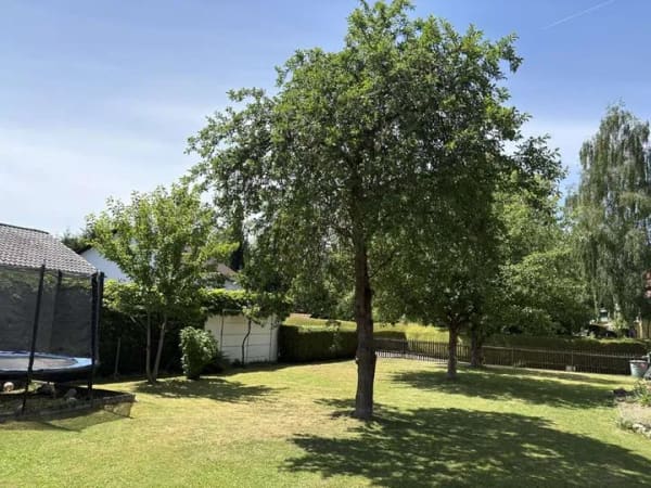 Immobilie in Pocking - Vermietetes Mehrfamilienhaus in Pocking
 - Bild 2