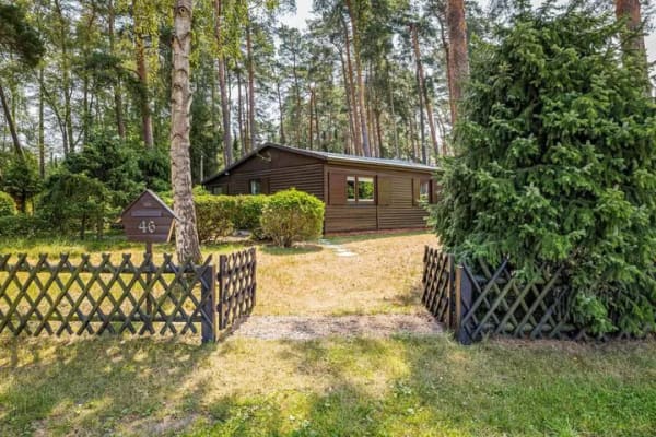 Immobilie in Wietze - Wo der Wald beginnt und die Hektik aufhört. - Bild 1