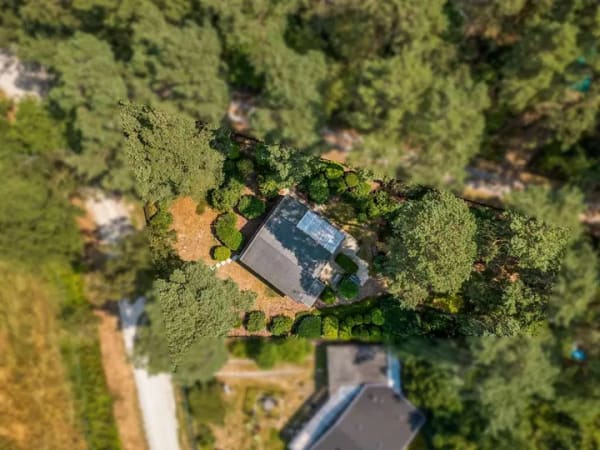 Immobilie in Wietze - Wo der Wald beginnt und die Hektik aufhört. - Bild 3