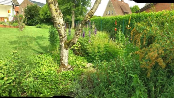 Immobilie in Ostercappeln - Großzügiges top gepflegtes Zweifamilienhaus mit wunderschönem Garten – provisionsfrei vom Eigentümer - Bild 4