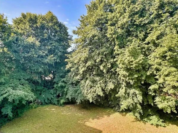 Immobilie in Kiel - Wohnen in Innenstadtnähe - Bild 1