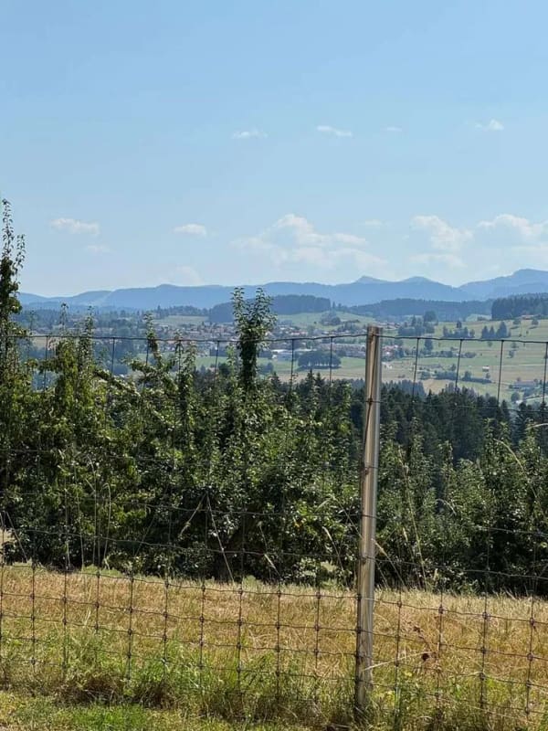 Immobilie in Weiler-Simmerberg -  2-Zimmer-Wohnung mit Bergblick - Bild 3