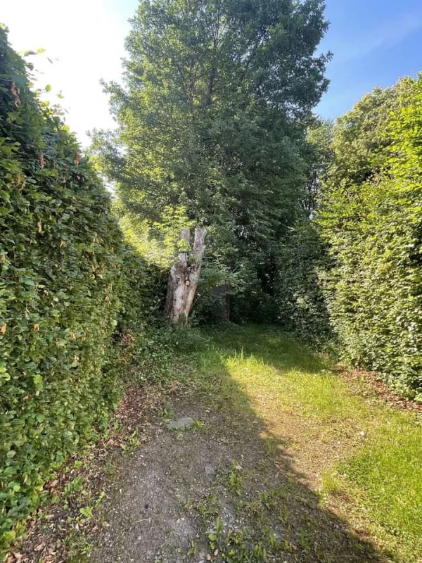 Immobilie in Monschau - Romantisches Vennhaus in Höfen - Bild 2