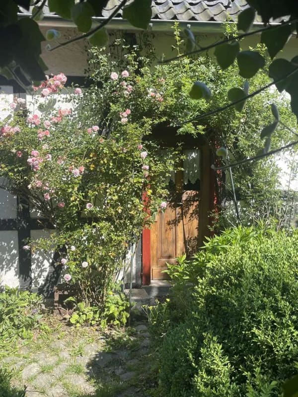 Immobilie in Monschau - Romantisches Vennhaus in Höfen - Bild 3