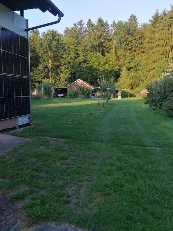 Immobilie in Steinbach-Hallenberg - Steinbach-Hallenberg,  Modernes Ein- Zweifamilienhaus mit Werkstatt, Garten und viel Potenzial - Bild 3
