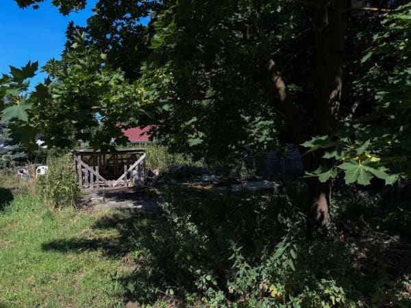 Immobilie in Letschin - Mehrfamilienhaus in einem idylischen Fischerdorf - Bild 2