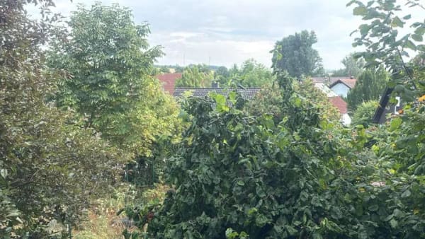 Immobilie in Ebertsheim - Familiendomizil im Landhausstil, Garten, Garage - Bild 3