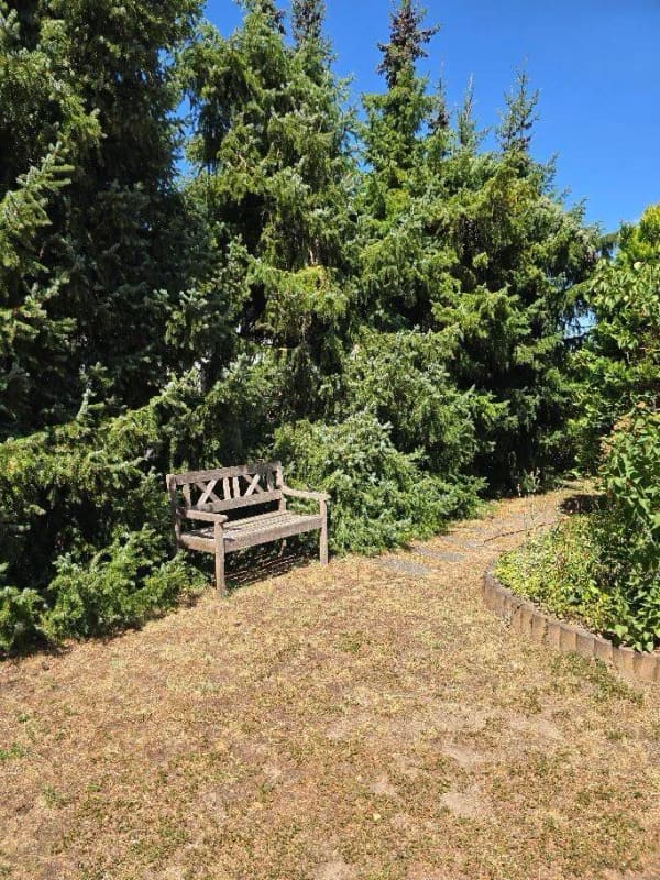 Immobilie in Röttenbach - Gartenwohnung mit Terrasse  - Bild 2