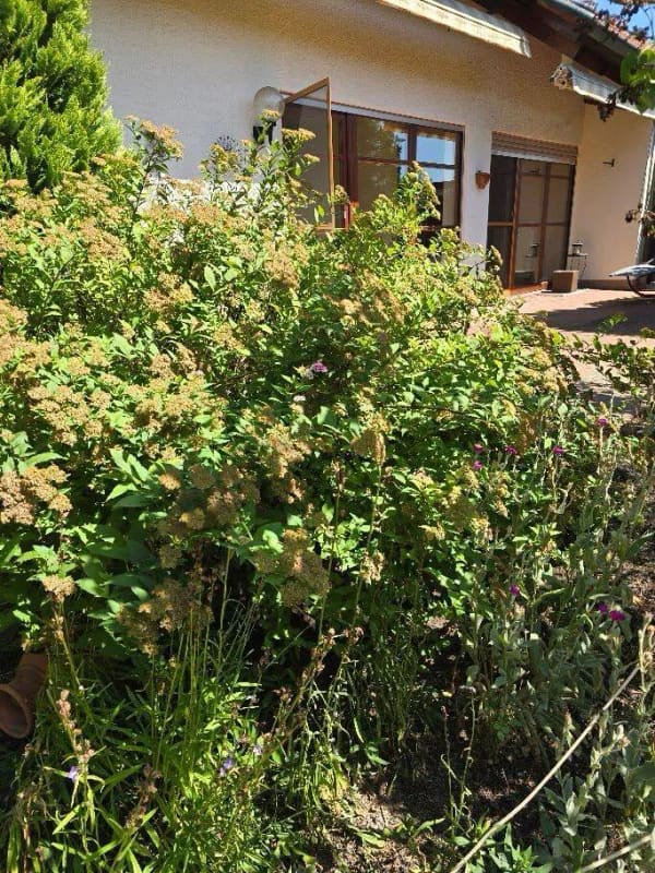 Immobilie in Röttenbach - Gartenwohnung mit Terrasse  - Bild 3