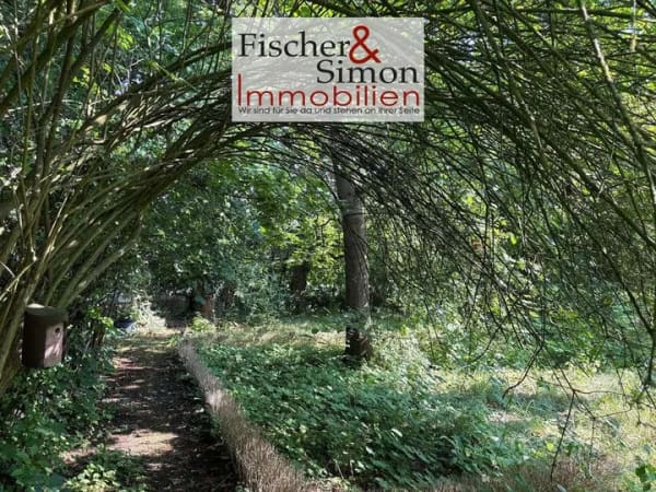 Immobilie in Rohrsen - Rohrsen-charmante Immobilie mit eingewachsenem Grundstück und Entwicklungspotenzial (Bauplatz) - Bild 2
