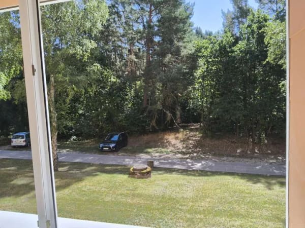 Immobilie in Neustrelitz - Superlage am Waldrand,sonnige 3Zimmerwohnung - Bild 0