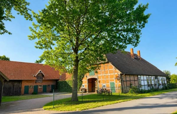 Immobilie in Rodewald - Romantischer Resthof Bauenhaus Fachwerkhof  - Bild 1